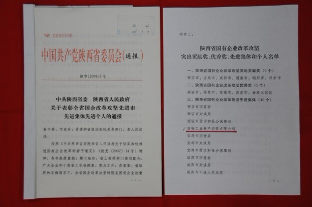 2009年2月，被陜西省委、省政府授予陜西省國(guó)有企業(yè)改革攻堅(jiān)先進(jìn)集體